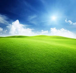 Gordijnen green field and blue sky © Iakov Kalinin