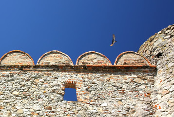 Historic wall and bird