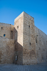 Fototapeta na wymiar Norman- Swabian Castle. Sannicandro di Bari. Apulia.