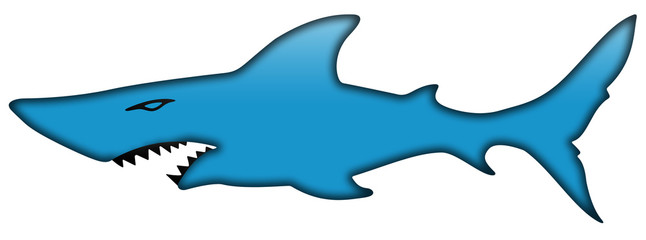 shark