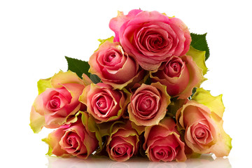 Pink roses