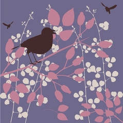 Bird in a tree - 28017516