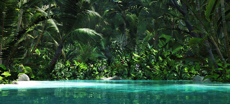 Tropical Paradise