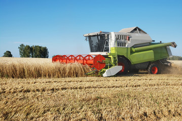 Obraz premium Cleaning of a wheaten field by a combine