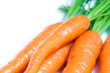 Fresh wet organic carrots