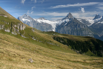 Fototapeta premium This is a hiking trail near Grindelwald