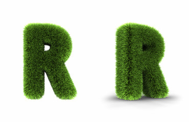 Grass Letter R