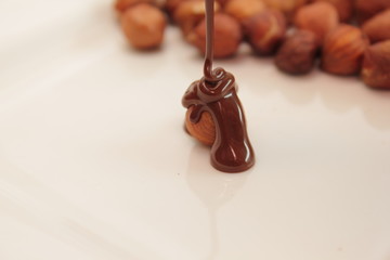 haselnuss mit schokolade