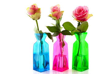 Pink roses in colorful vases