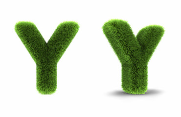 Grass Letter Y