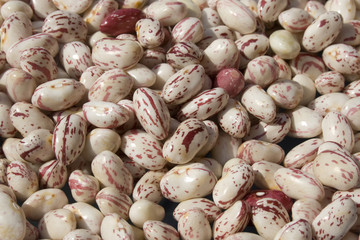 Heap of pinto beans - Italian Borlotto Bean