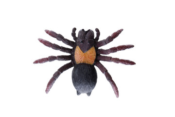 Gummispinne