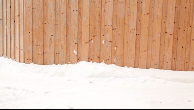 Schneeschieben