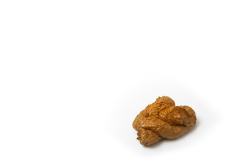 crotte de chien