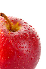 Red apple isolated on white with water drops