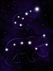The Ursa Major and the Ursa Minor constellations.