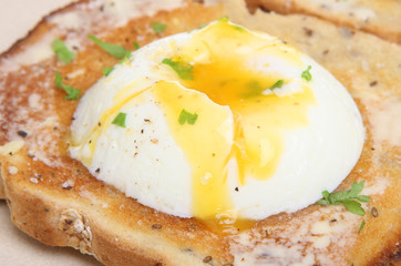 Poached Egg on Toast