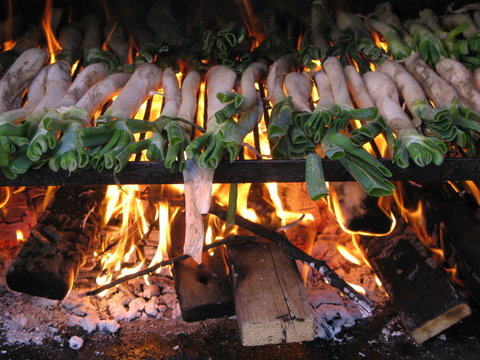 Cal&ccedil;ots al foc