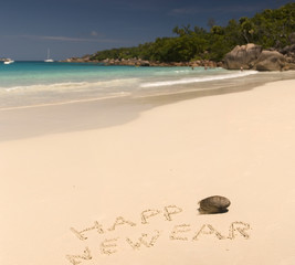 Happy New Year