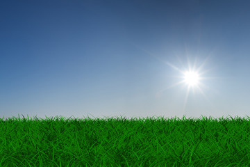 sun over green meadow. Isolated 3D image