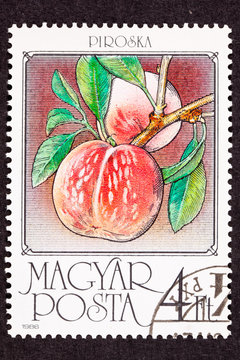 Hungarian Hungary Postage Stamp Ripe Pink Peaches Branch Leaves