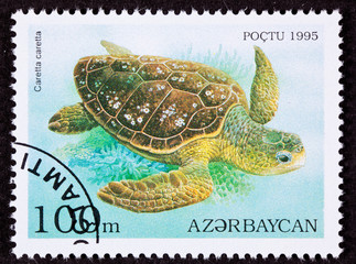 Postage Stamp Swimming Loggerhead Sea Turtle, Caretta caretta