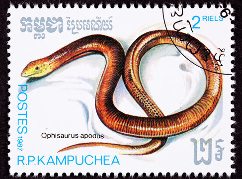 Stamp Sheltopusik, European Legless Lizard, Ophisaurus Apodus
