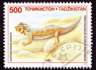 Stamp Common Wonder Gecko, Lizard, Teratoscincus Scincus