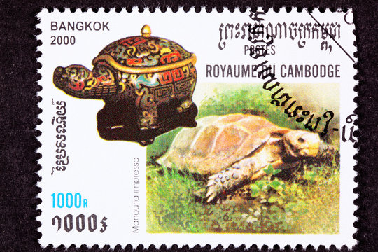 Stamp Impressed Tortoise, Manouria impressa Cloisonné Jar