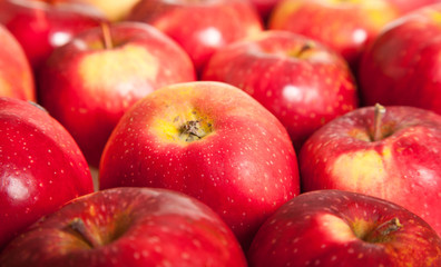 Fototapeta na wymiar Fresh red juicy natural apples on white isolated background