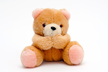 Teddy bear