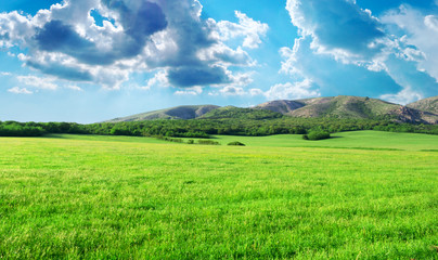 Green meadow in mountain
