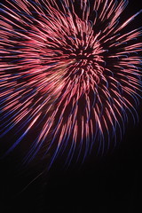 Obraz premium 打ち上げ花火