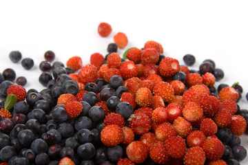 Wild strawberries and blueberries
