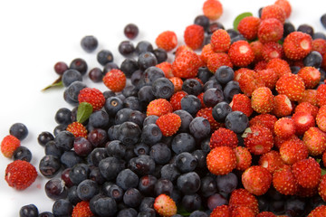 Wild strawberries and blueberries