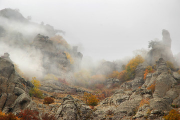 Fog autumn mountains