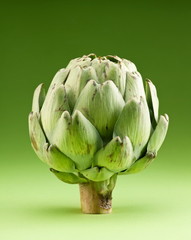 Obraz premium Artichoke on a green background