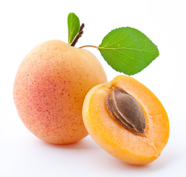 Apricot on a white background