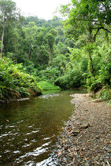 The River with Mountain