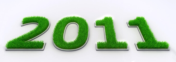 New Year 2011