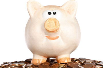 dickes sparschwein steht auf münzen