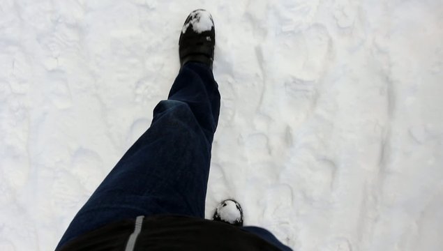 Der Schneespaziergang