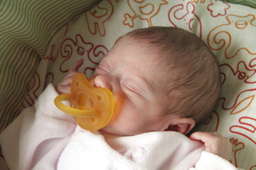 bimba cucciola neonata nella culla