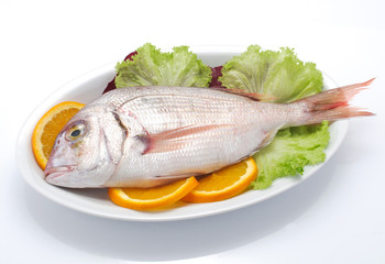 Pesce nel piatto - pagro
