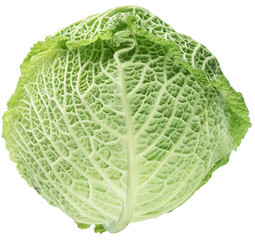 Photo of fresh cabbage on a white background