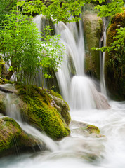 Naklejki  Prądy wodospadowe w parku narodowym. Plitvice, Chorwacja.