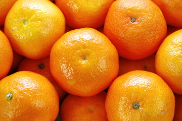 Mandarine Mandarin