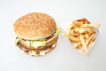 Burger and french fries