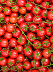 Healthy tomatoes background