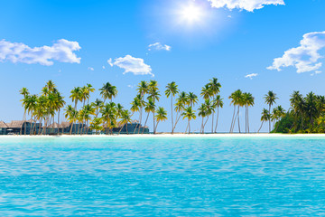 Palm trees on tropical island at ocean. Maldives.